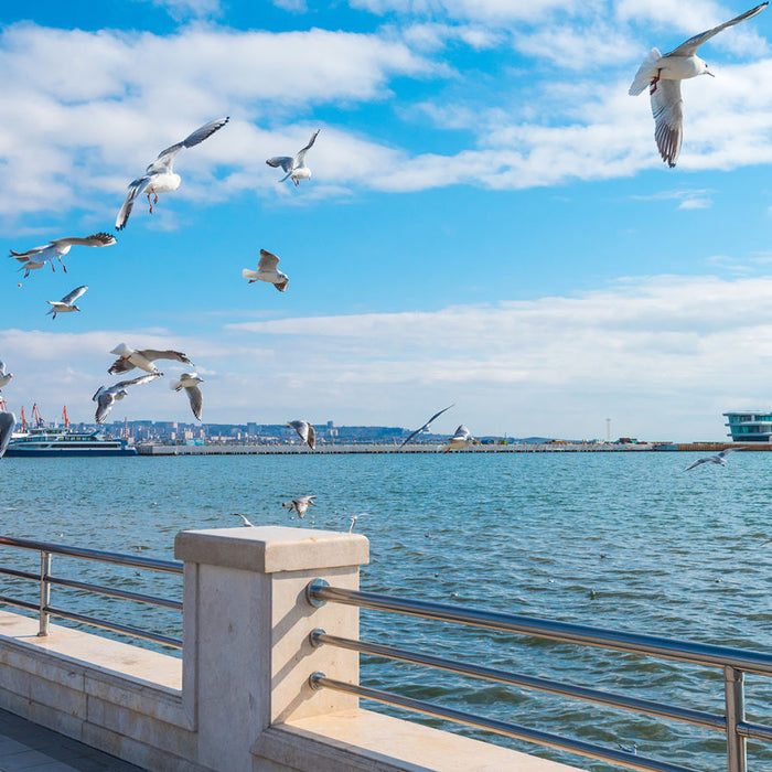 Baku Boulevard: A Timeless Seaside Gem of Azerbaijan 🌊✨