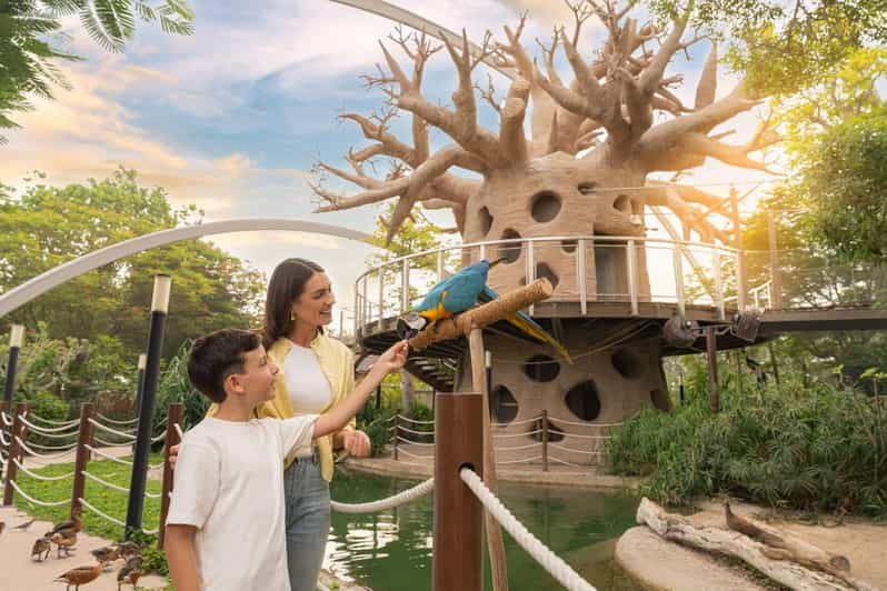 Dubai Safari Park Day Pass – Explore Wildlife Wonders for One Adult