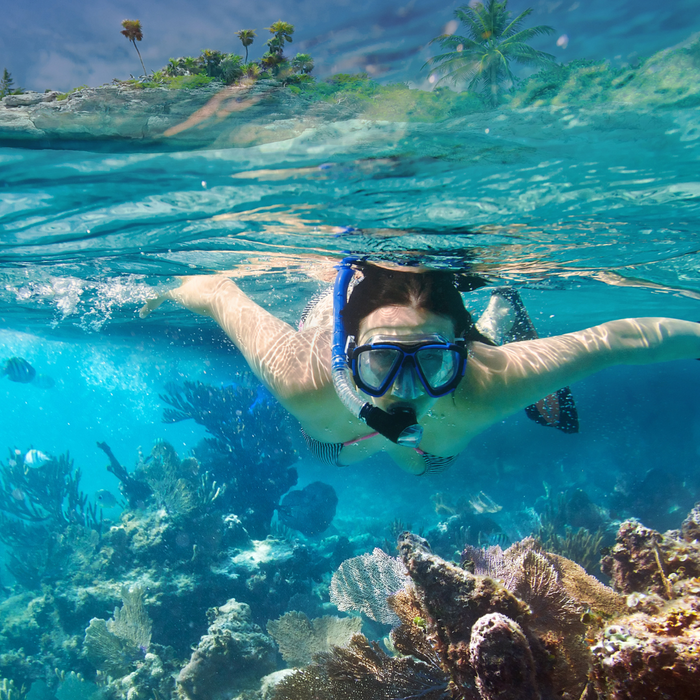 Scuba Diving In Dubai