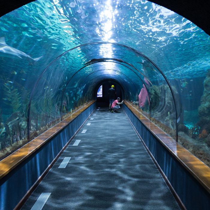 Dubai Aquarium and Underwater Zoo