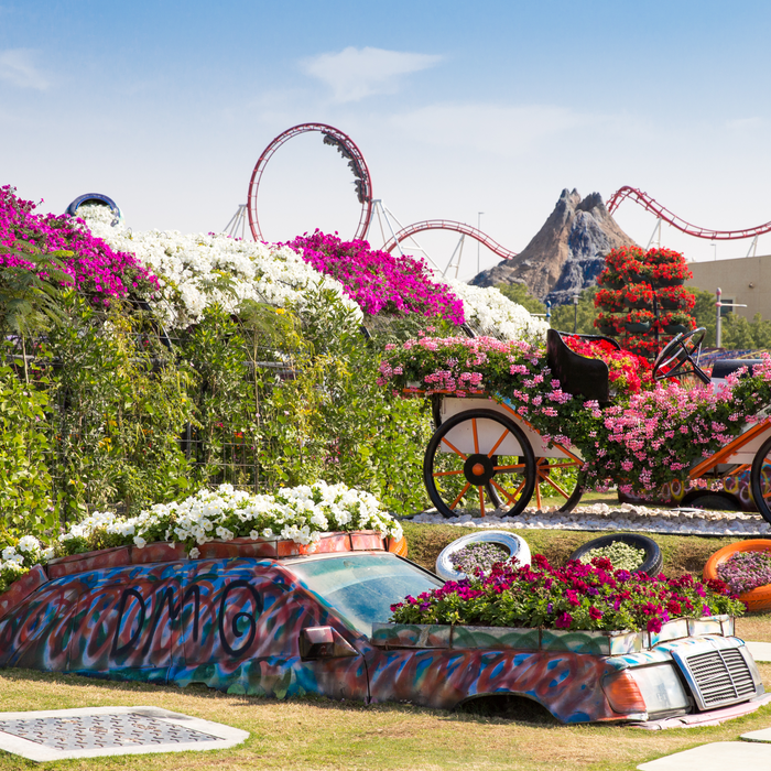 Motiongate Theme Park Dubai