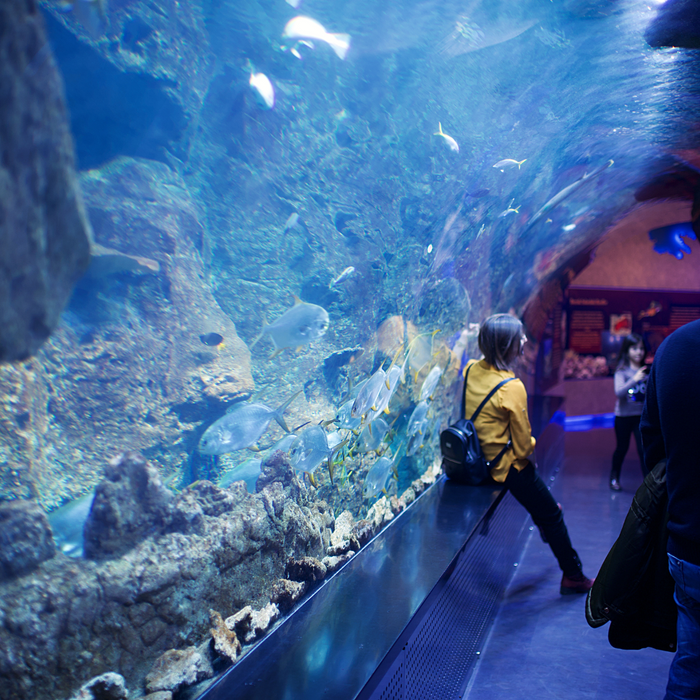 Dubai Aquarium and Underwater Zoo