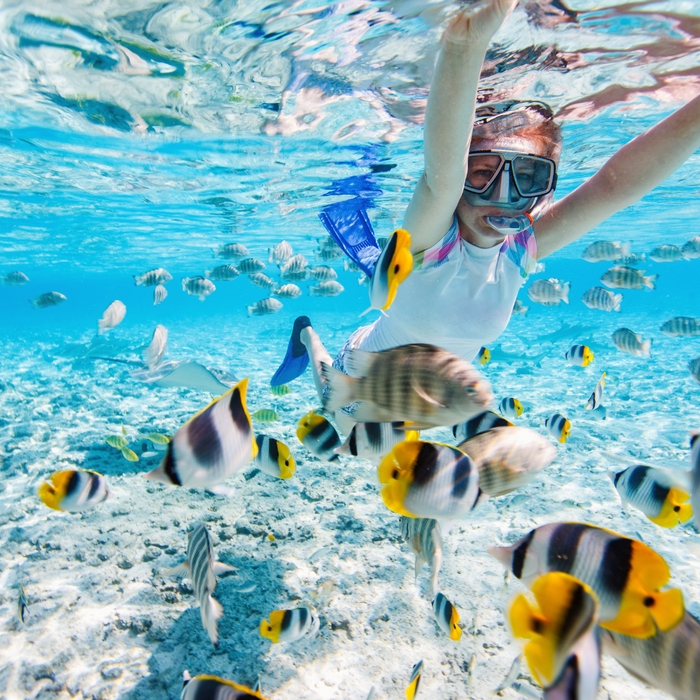 Scuba Diving In Dubai