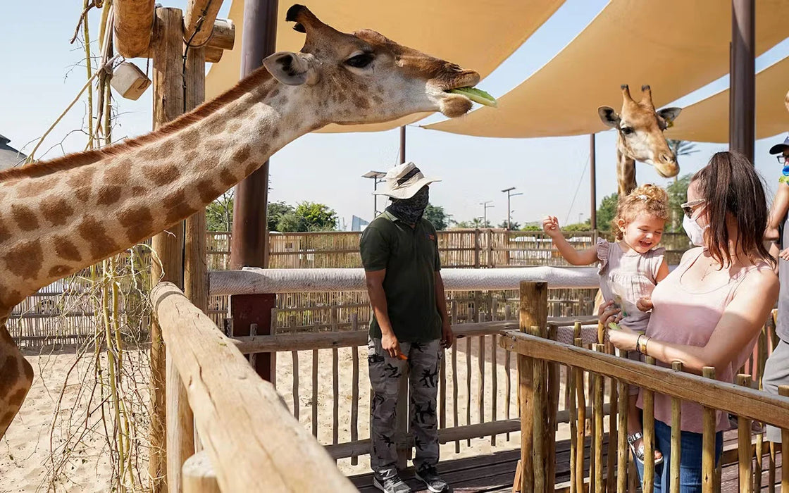 Dubai Safari Park Day Pass – Explore Wildlife Wonders for One Adult