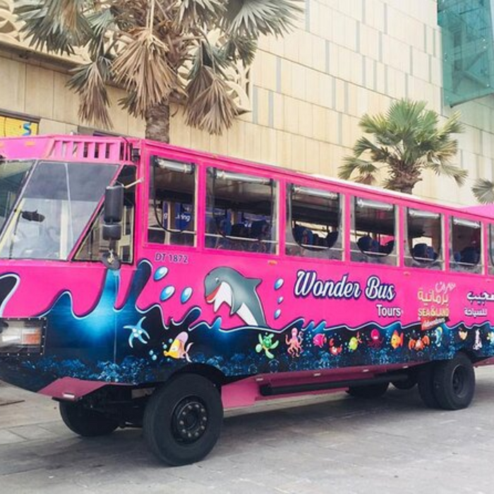 Wonder Bus Tour