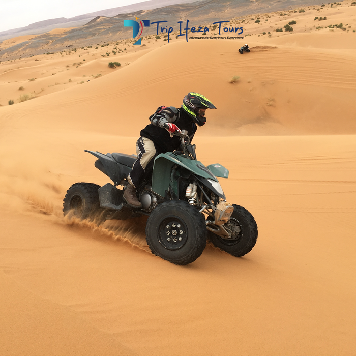 Evening Desert Safari