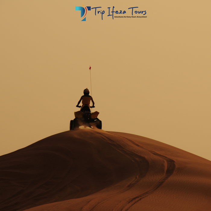 Evening Desert Safari
