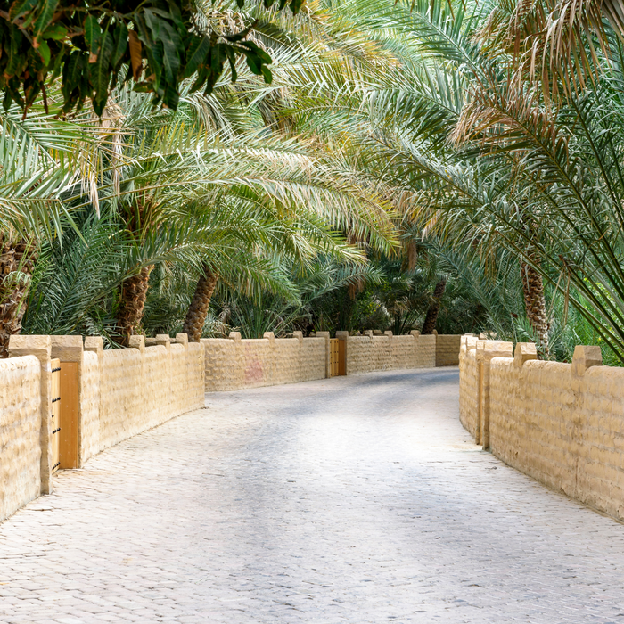 Al Ain City Tour