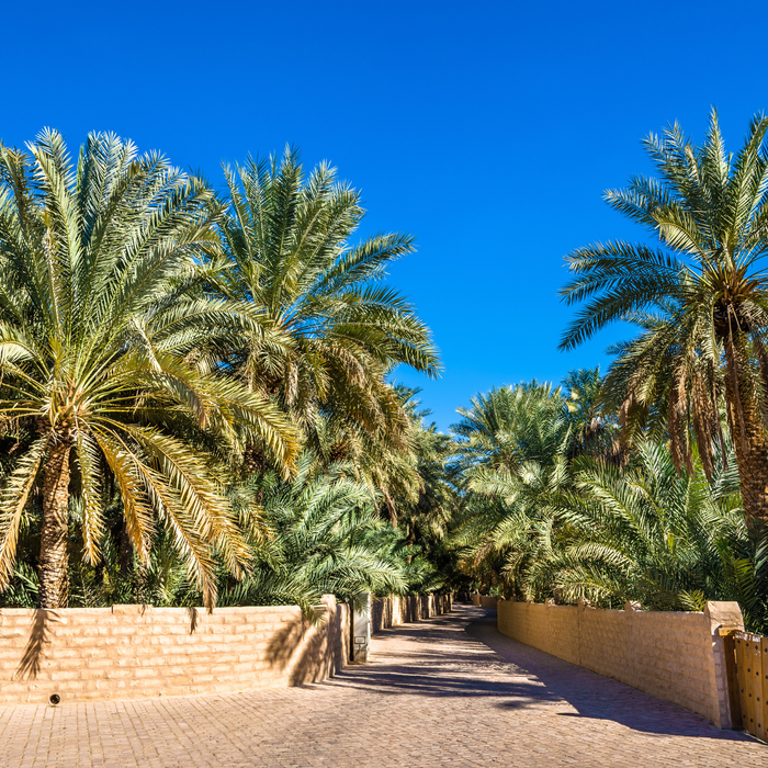 Al Ain City Tour