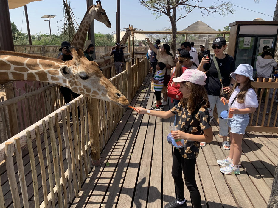 Dubai Safari Park Day Pass – Explore Wildlife Wonders for One Adult