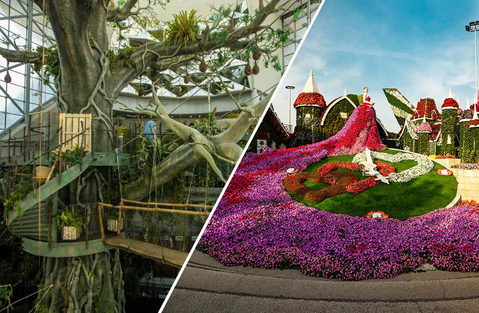 Green Planet and Miracle Garden Combo Ticket – A Journey Through Nature