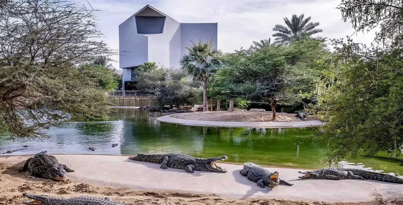 Dubai Crocodile Park Entry Ticket – For Young Explorers