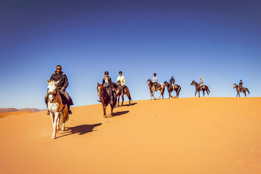 Horse Riding In Dubai