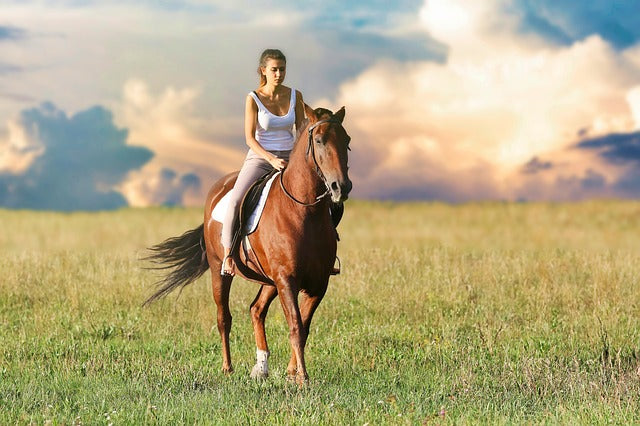 Horse Riding In Dubai